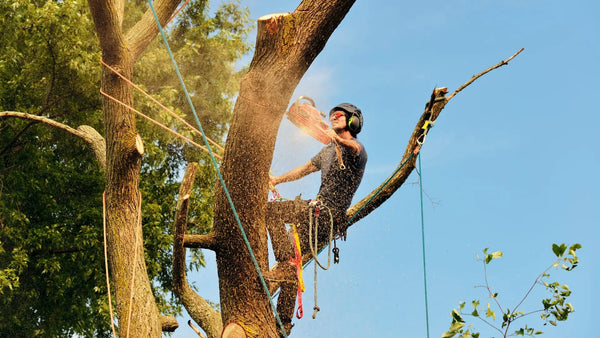 Prioritise Safety: Essential Chainsaw Safety Gear for Arborists