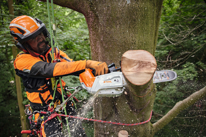 Stihl MSA 220 TC-O Cordless Chainsaw - AP System