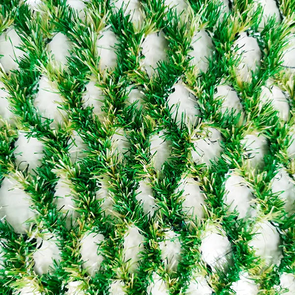 AM Hybrid Grass