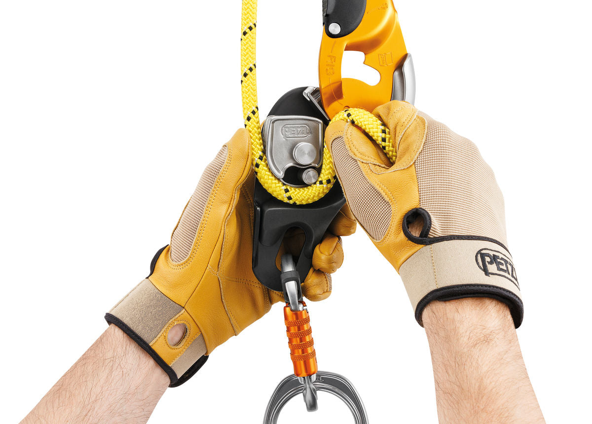 Petzl RIG®