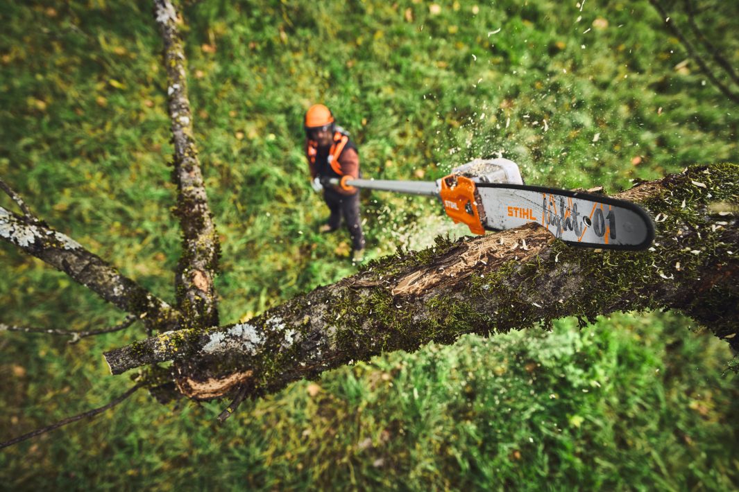 Stihl HTA 110 Cordless Pole Pruner - ALLPRO System