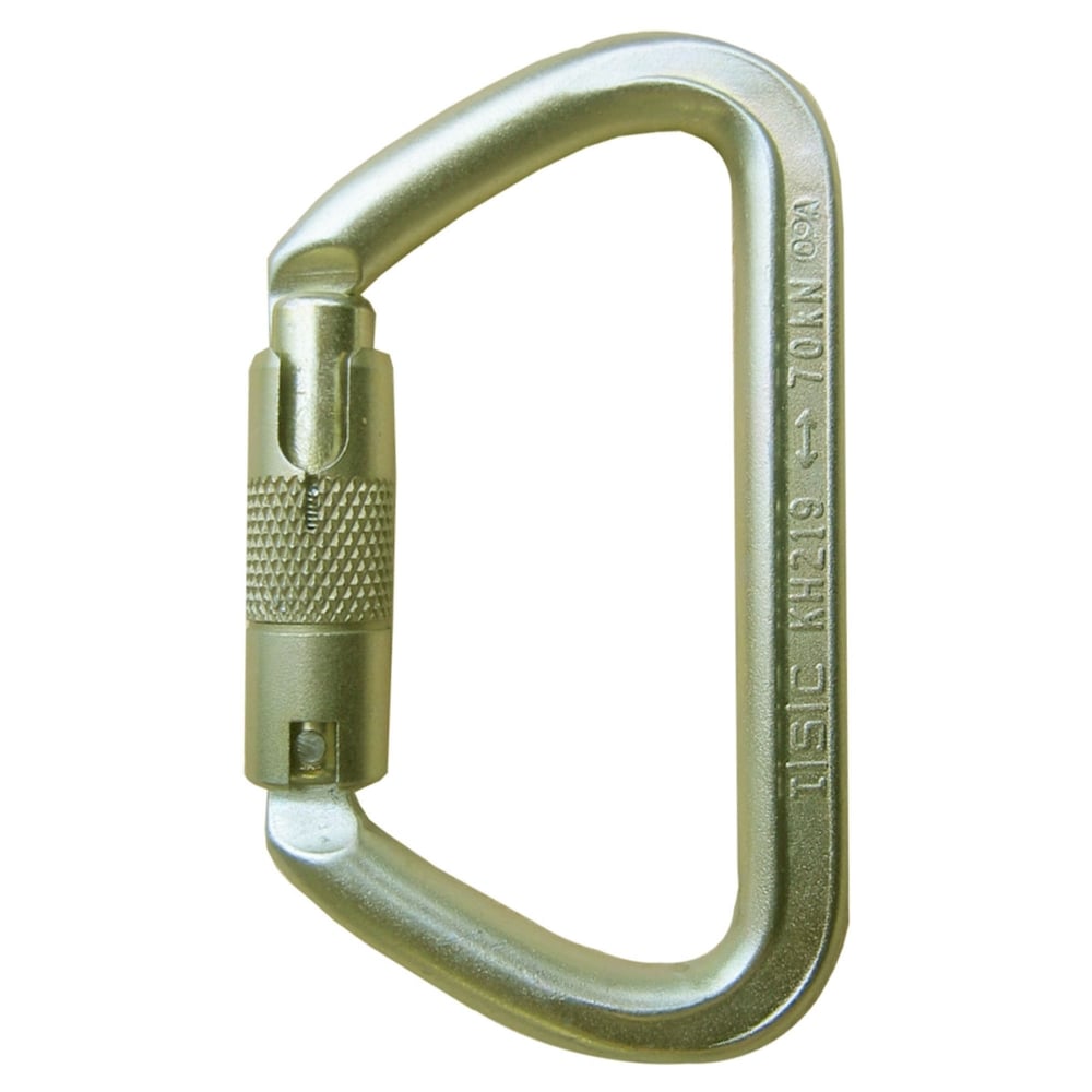 ISC Small Iron Wizard Supersafe 70kN Steel Karabiner