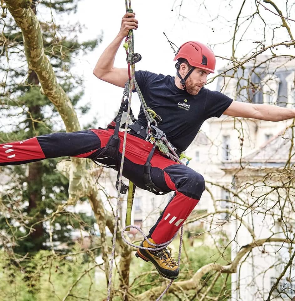 Enhancing Safety and Efficiency in Arborist Work with Stihl's Climbing Gear