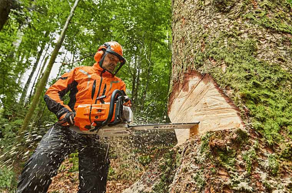What's the Best Chainsaw in 2022?