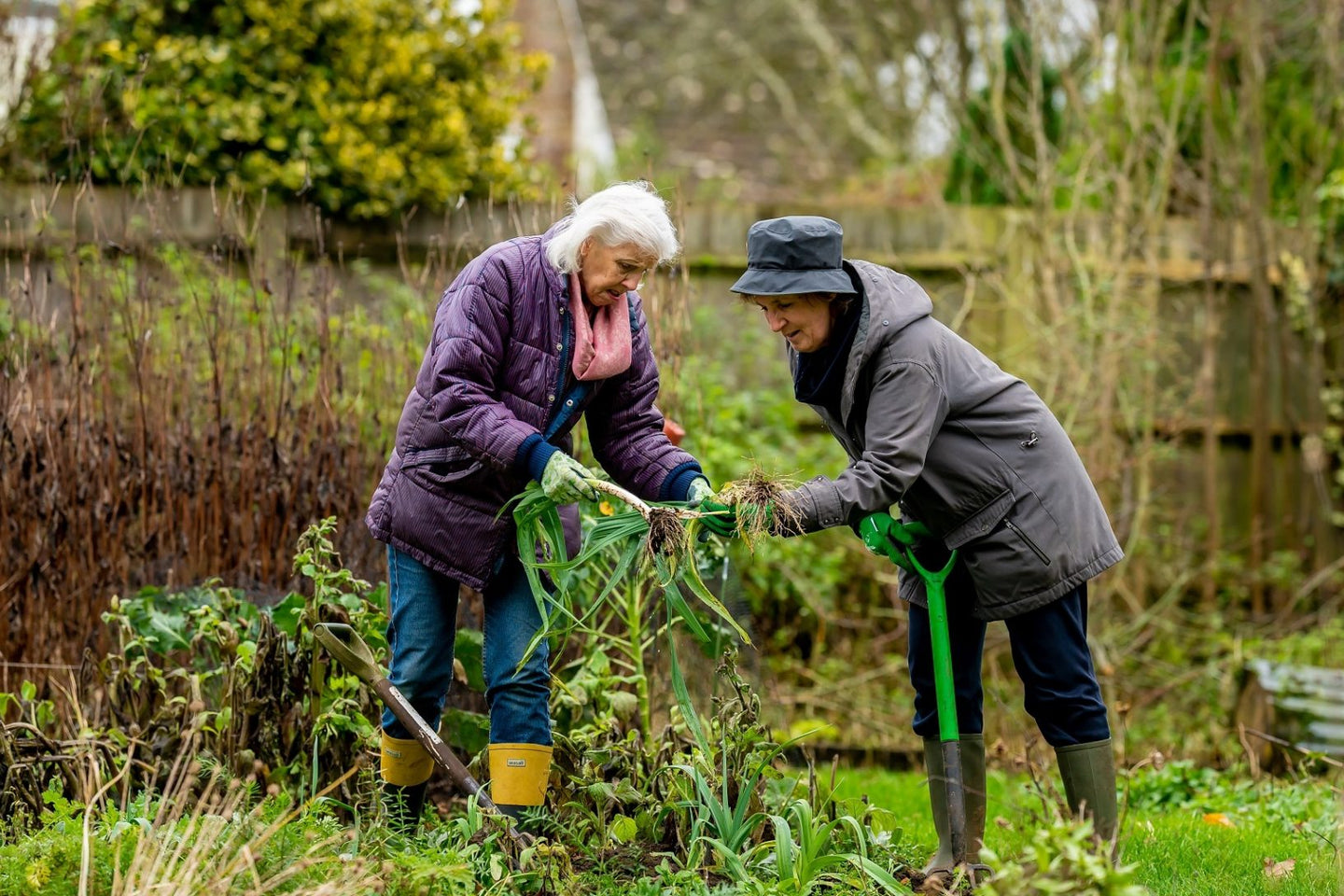 DFG's Guide to Sustainable Gardening