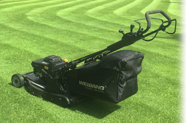 From Push to Robotic Mowers: Our Complete Range