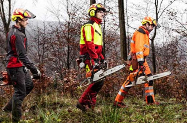 Arborist Chainsaws: Which One Should You Choose?