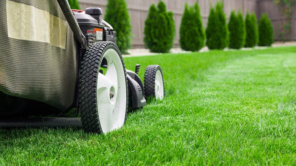 5 Lawnmower Care Tips