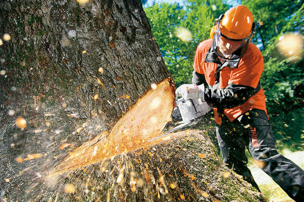 3 Variables To Consider When Buying The Perfect Chainsaw