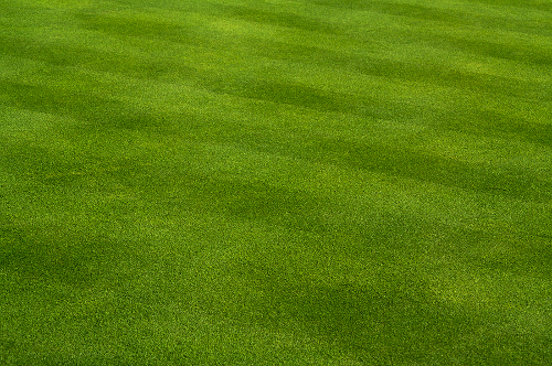 4 Tips For Cutting Grass