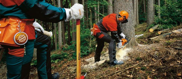 6 Chainsaw Safety Tips