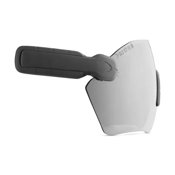 Protos Integral Safety Glasses