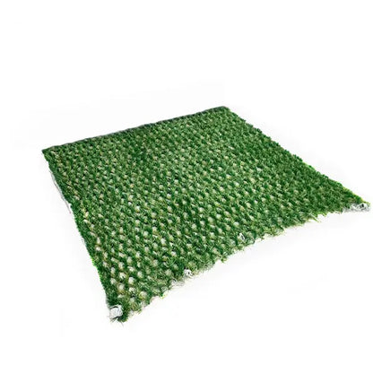 AM Hybrid Grass