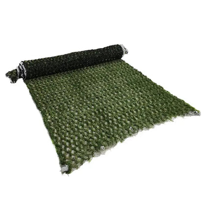 AM Hybrid Grass