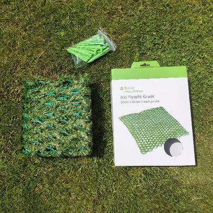 AM Hybrid Grass