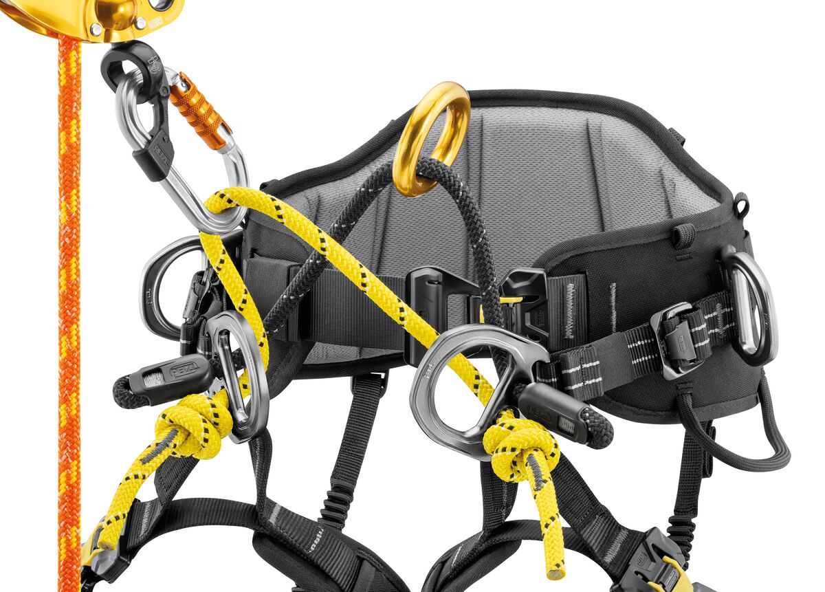 Petzl SEQUOIA® Plus Harness 2026
