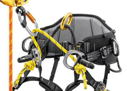 Petzl SEQUOIA® Plus Harness 2026