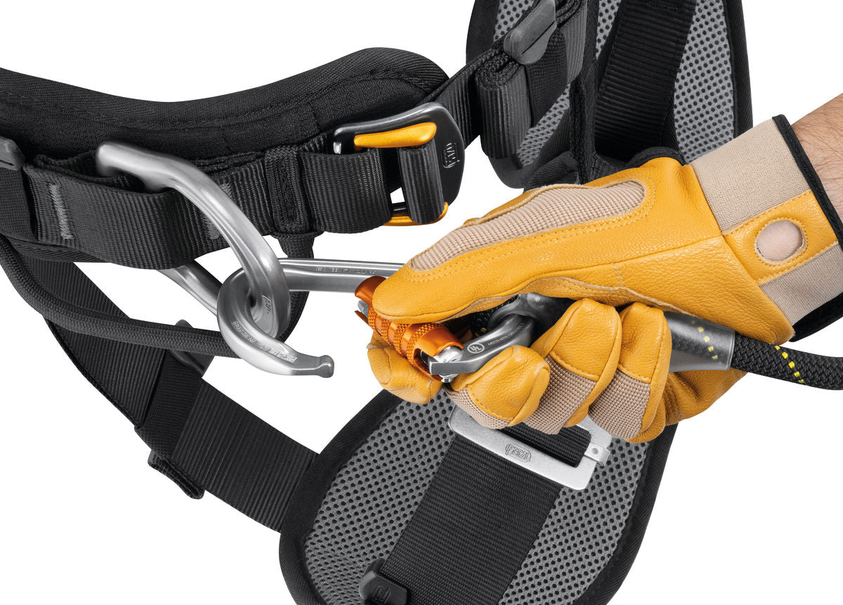 Petzl ASTRO® BOD FAST European Version