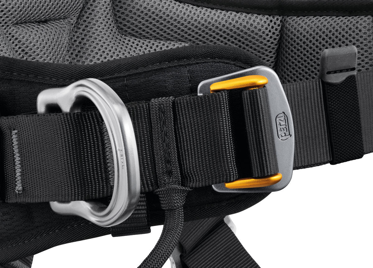 Petzl ASTRO® BOD FAST European Version