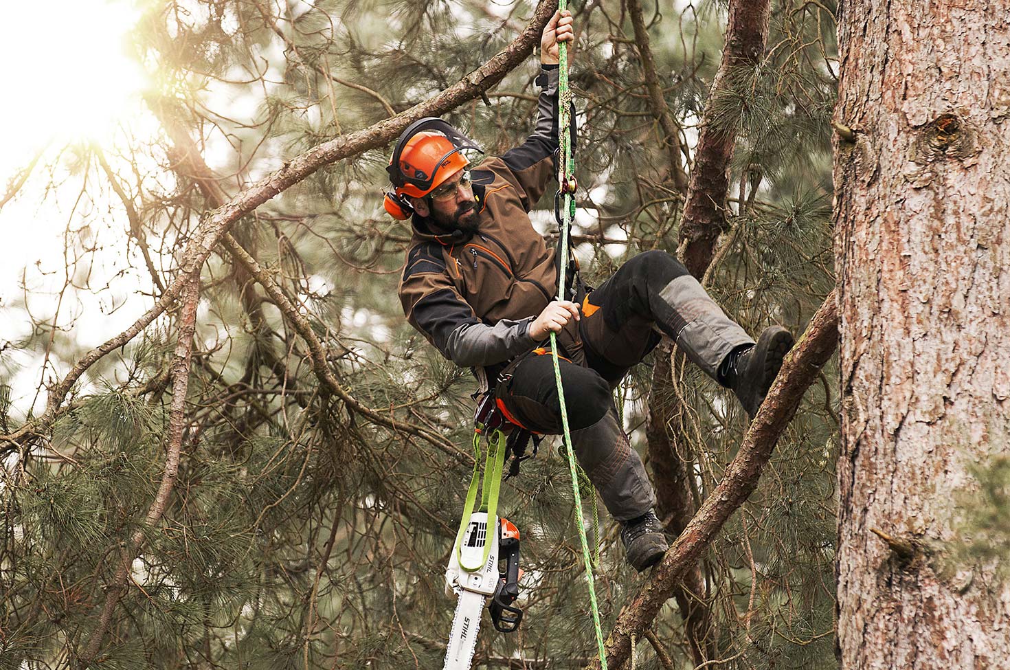 Arborist Supplies Ireland | Tree Surgeon Equipment & Machinery | Arbor – Douglas Forest & Garden