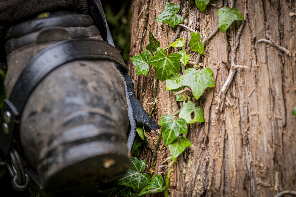 Distel Steel Leather Tree Climbing Spikes