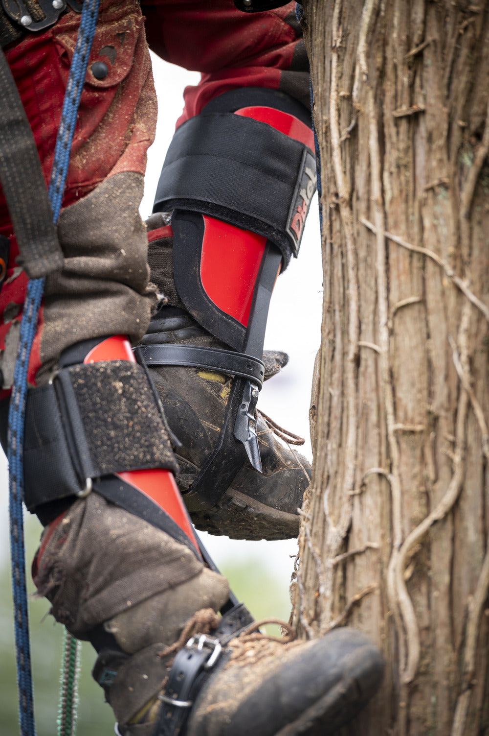 Distel Steel Leather Tree Climbing Spikes