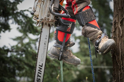 Distel Steel Leather Tree Climbing Spikes