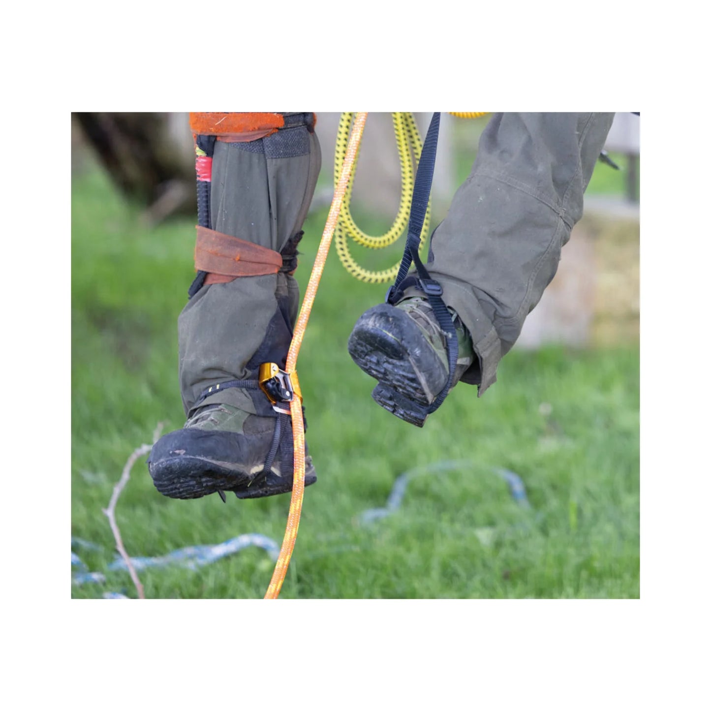 Petzl PANTIN® Click