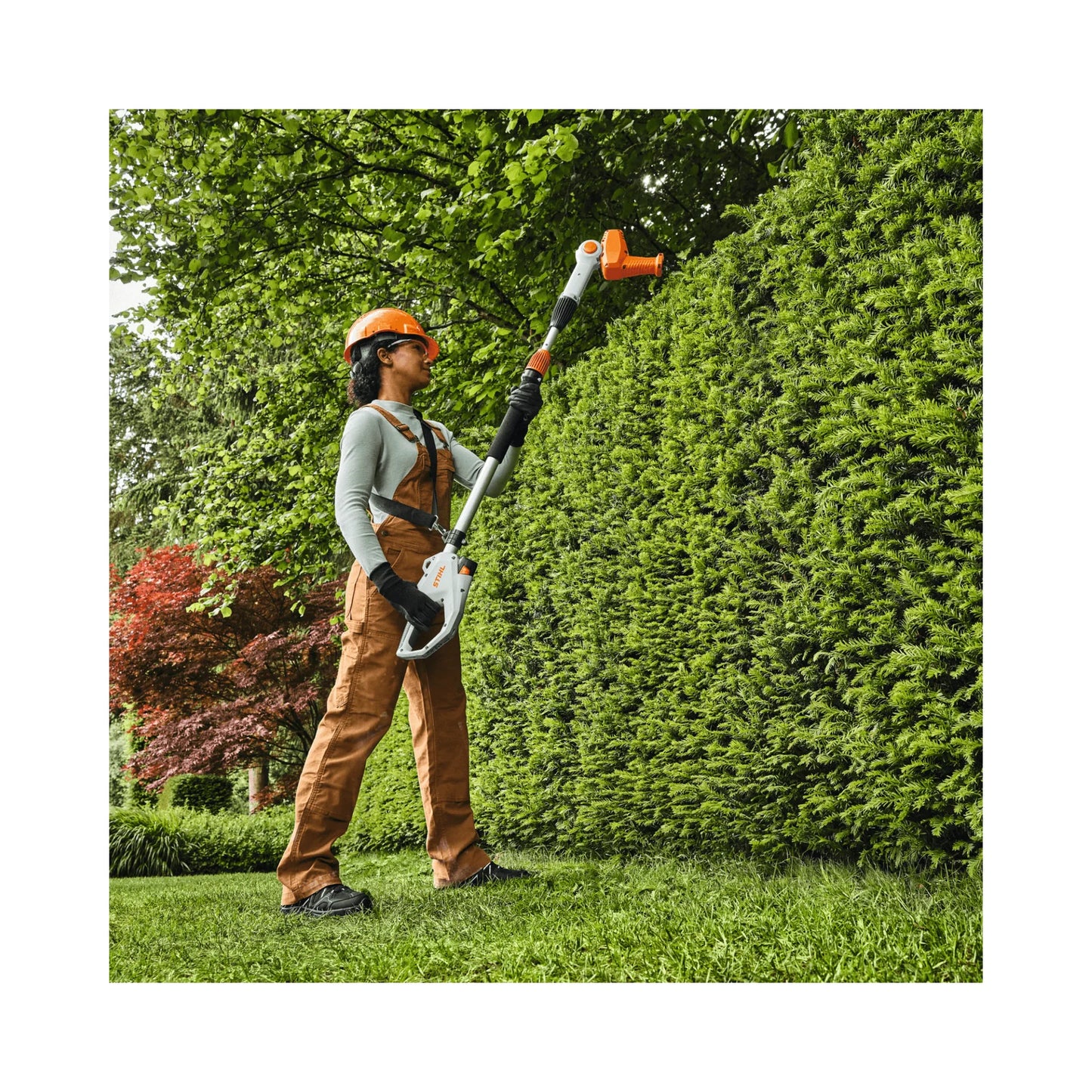 Stihl HLA 40 Cordless Long-Reach Hedge Trimmer – AS System