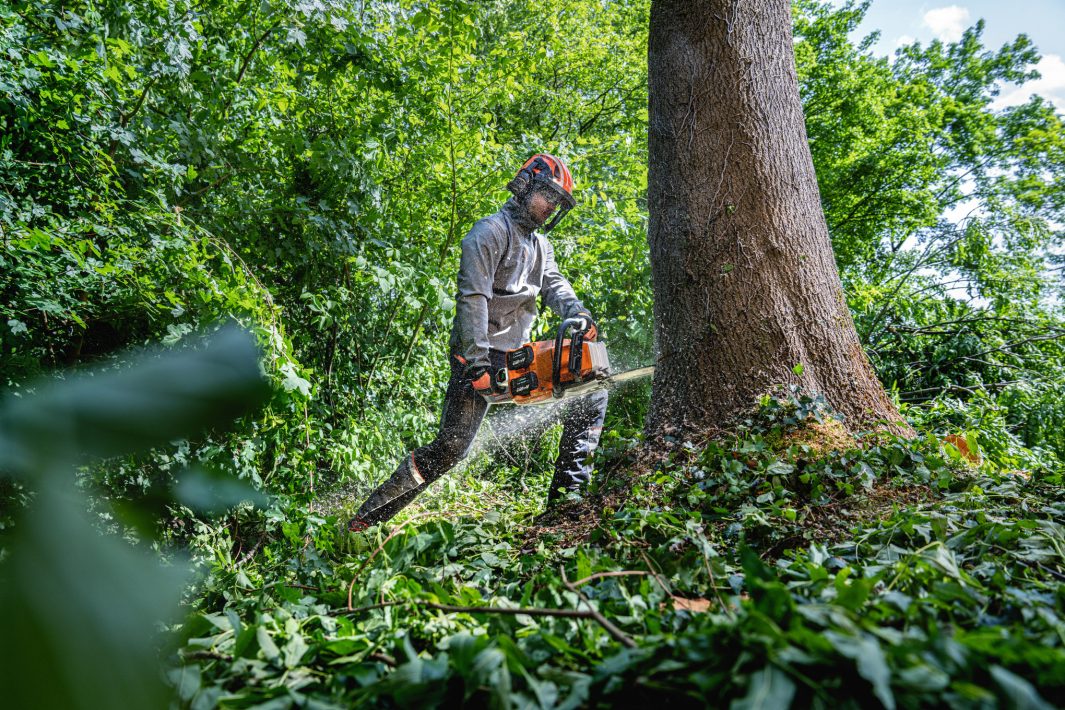 Stihl MSA 600 Cordless Chainsaw - ALLPRO System