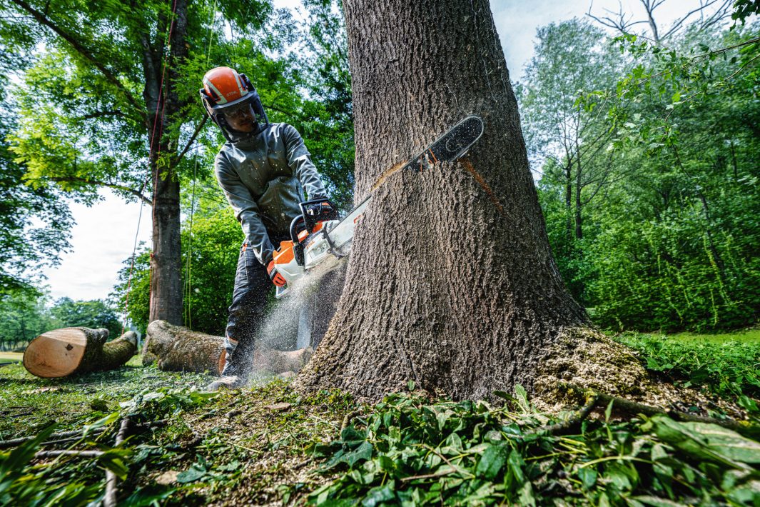 Stihl MSA 600 Cordless Chainsaw - ALLPRO System