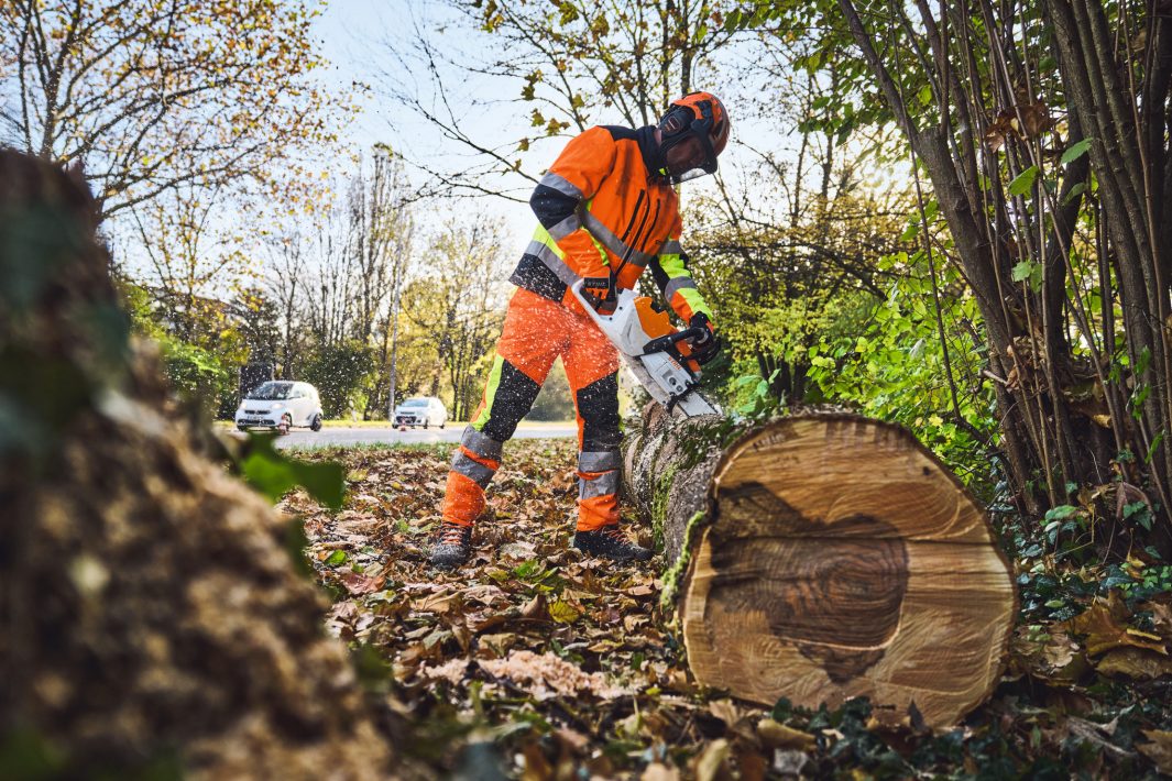 Stihl MSA 600 Cordless Chainsaw - ALLPRO System