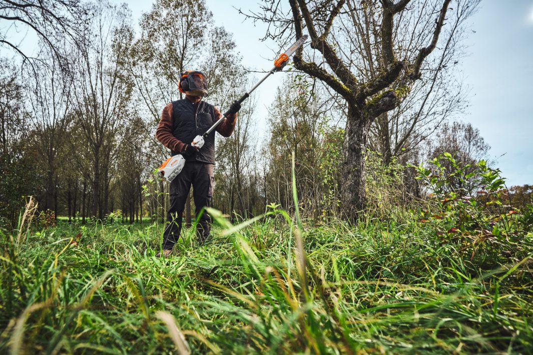 Stihl HTA 100 Cordless Pole Pruner - ALLPRO System