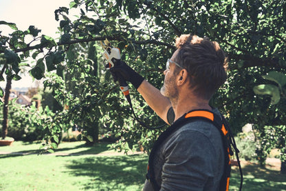 Stihl ASA 140 Cordless Secateurs – ALLPRO System