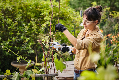 Stihl ASA 20 Cordless Secateur – AS System