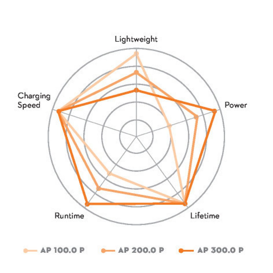 Stihl AP P Battery - ALLPRO