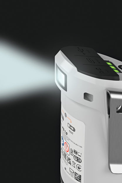 Stihl PS 1 Power Bank & Charger - AS System