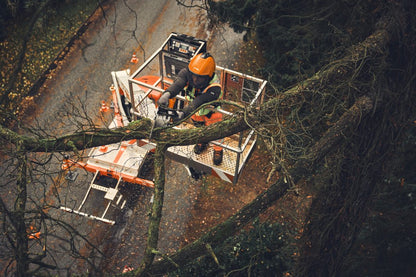 Stihl MSA 190 T Cordless Chainsaw - AP System - COMING SPRING 2025