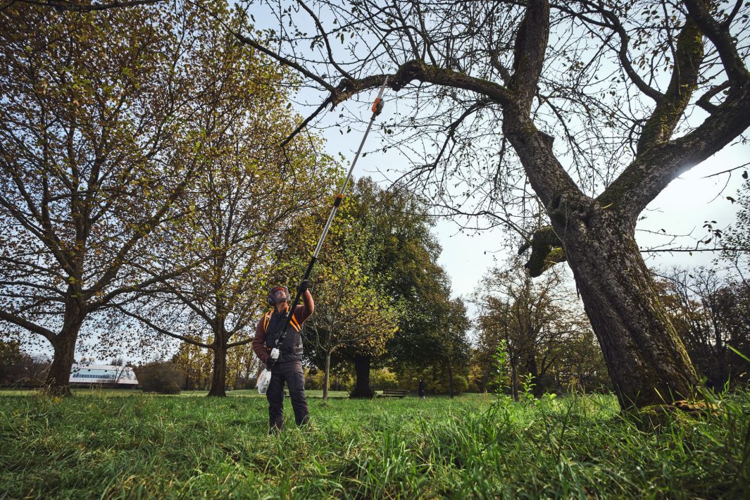 Stihl HTA 110 Cordless Pole Pruner - ALLPRO System