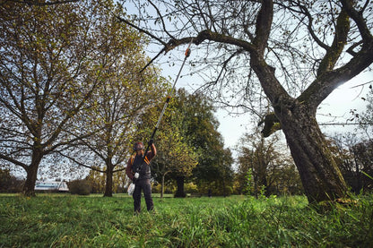 Stihl HTA 110 Cordless Pole Pruner - ALLPRO System