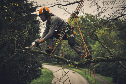 Stihl GTA 40 Cordless Pruner - AS System - COMING SPRING 2025