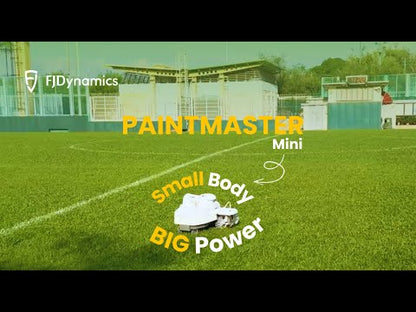 FJD PaintMaster Mini