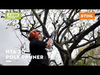 Stihl HTA 30 Cordless Pole Pruner - AS System