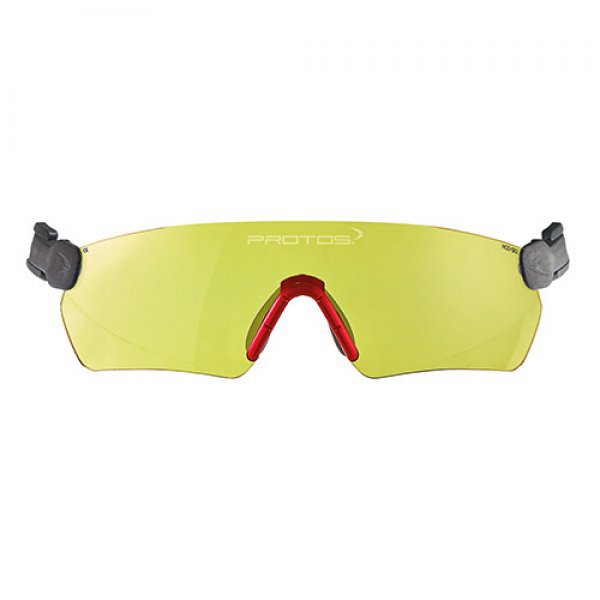 Protos Integrated Safety Glasses
